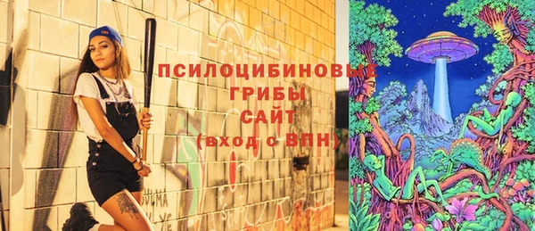 мдма Гусев
