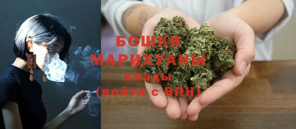 ПСИЛОЦИБИНОВЫЕ ГРИБЫ Гусь-Хрустальный