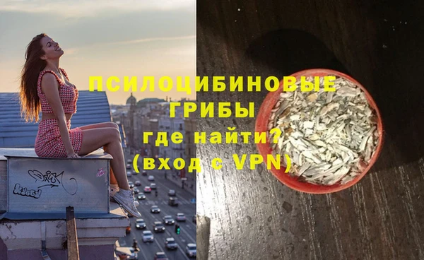 мдма Гусев
