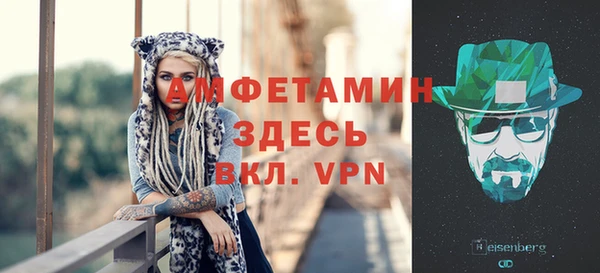 ПСИЛОЦИБИНОВЫЕ ГРИБЫ Гусь-Хрустальный